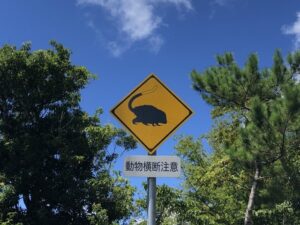 世界遺産,奄美大島のケナガネズミ道路標識